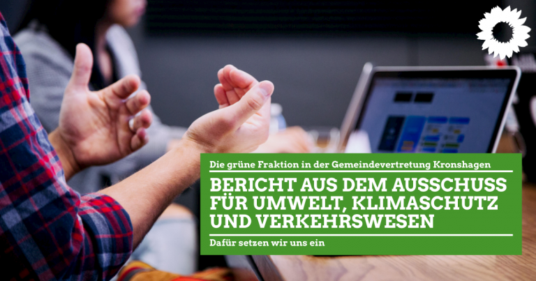 Bericht aus dem Ausschuss für Umwelt, Klimaschutz und Verkehrswesen, 4.2.2021